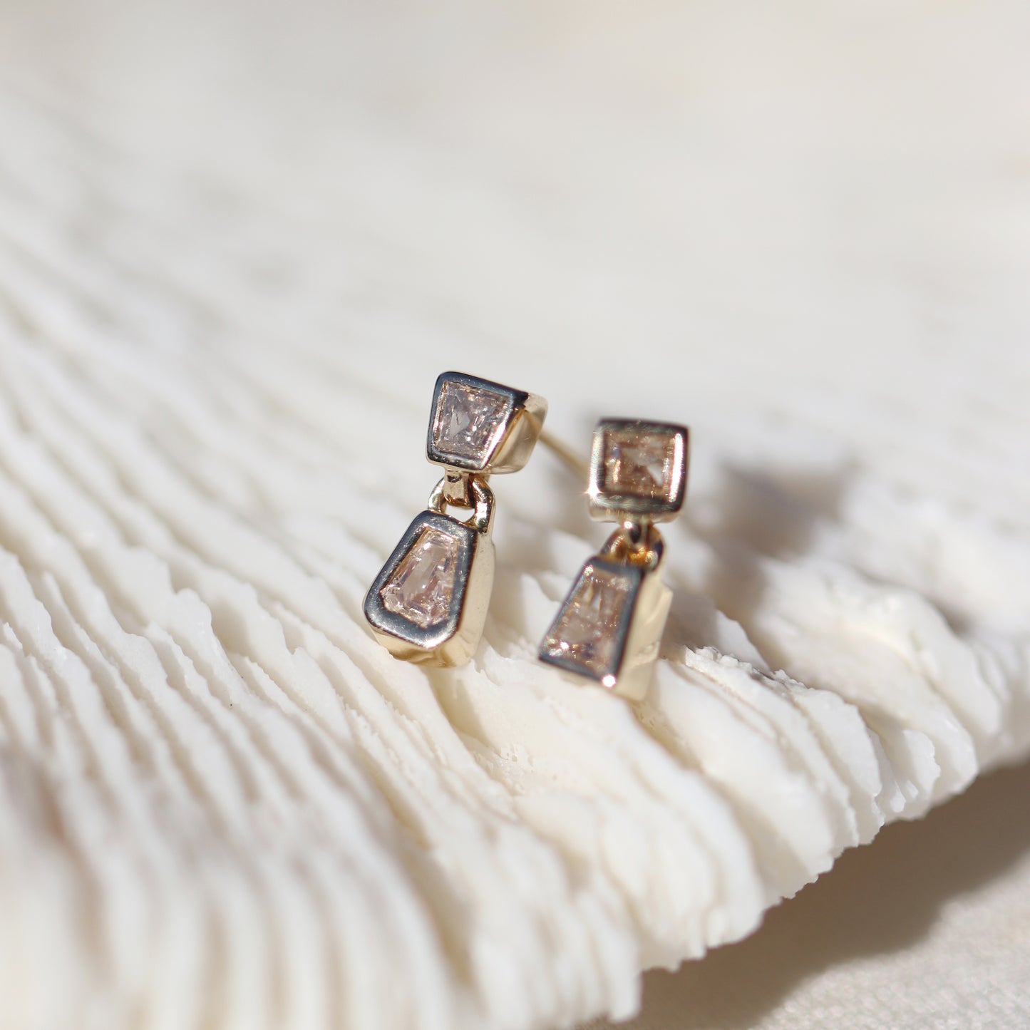 Dangling Duo Earrings (Diamonds)